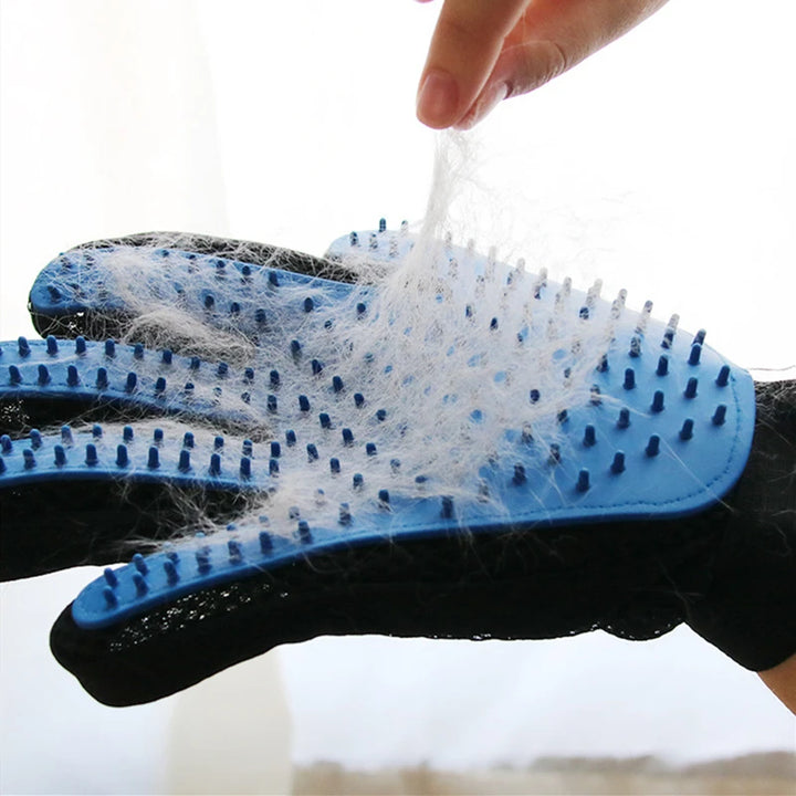 Pet Glove-ifinitydrop